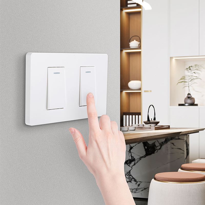 2 Gang Wall Plate With One Blank